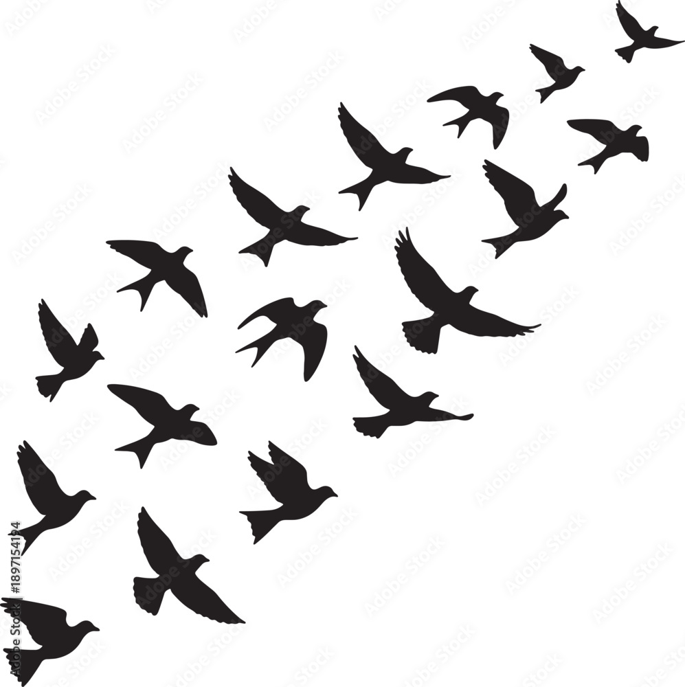 Obraz premium flock of birds flying in formation