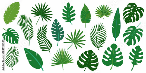 Collection of diverse green tropical leaves on a white background