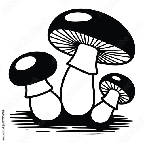 Black and White Illustration of Three Mushrooms with Detailed Gills
