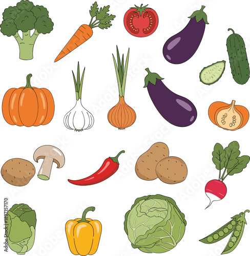 Hand drawn vegetable vector set with fresh organic farm products including pumpkin, carrot, tomato, eggplant, cabbage, pepper and greens