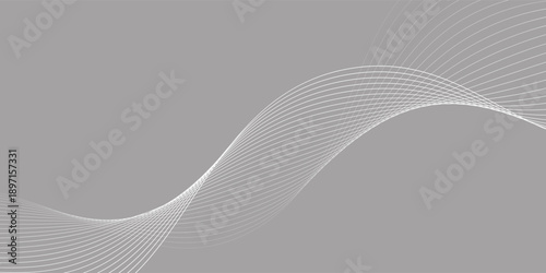 Abstract background with waves for banner. Medium banner size. Vector background with lines. Gray and white color. Interior. Brochure, booklet