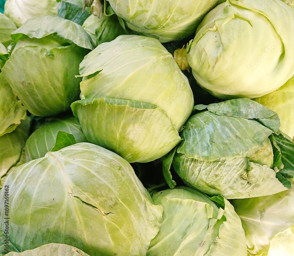 Fototapeta premium Beautiful Fresh green Cabbage heap at market Place 