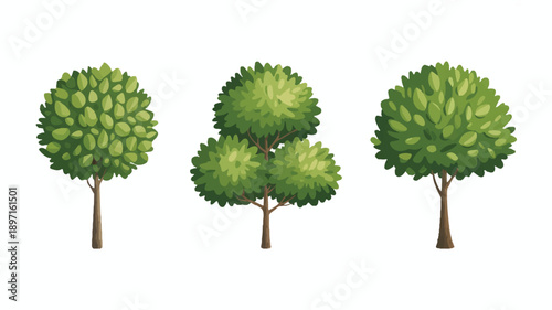 A digital illustration of three stylized trees arranged horizontally against a white background (2)_traced