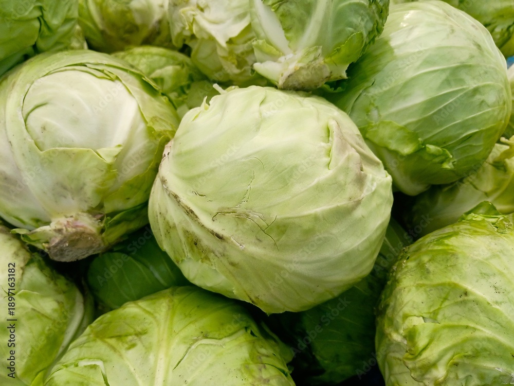 Fototapeta premium Beautiful Fresh green Cabbage heap at market Place 