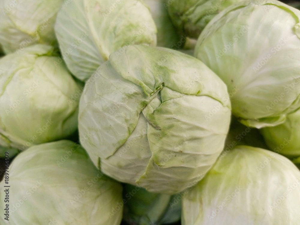 Obraz premium Beautiful Fresh green Cabbage heap at market Place 