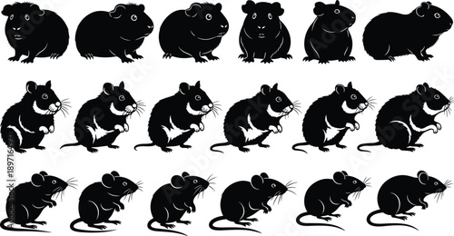 PrintCollection of diverse pet rodent silhouettes including guinea pigs hamsters and mice in various standing poses isolated on white background for veterinary and pet design