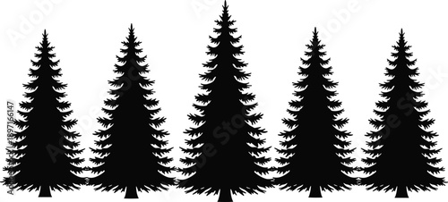 Black pine tree silhouettes isolated on white background, evergreen forest illustration, winter nature concept, minimal outdoor design, natural woodland graphic elements