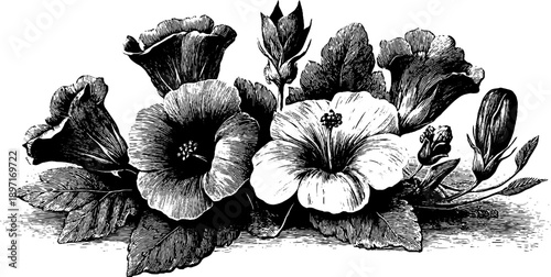 Vintage botanical floral cartouche frame design for decorative artwork and prints