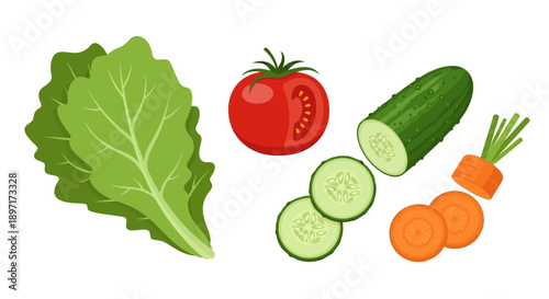 Colorful Cartoon Illustration of Fresh Vegetables Lettuce Tomato Cucumber and Carrot.