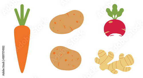 Assorted Vegetables and Root Vegetables Illustration.