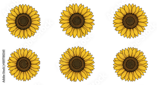 A vibrant collection of six hand-drawn sunflowers with bright yellow petals and dark brown centers, arranged neatly on a clean white background.
