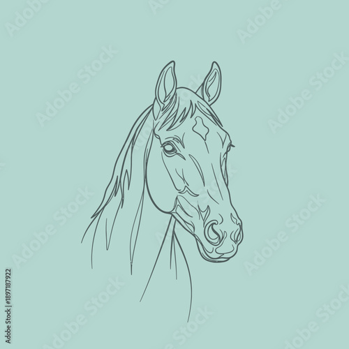 Minimalist line art drawing of a horse head.
