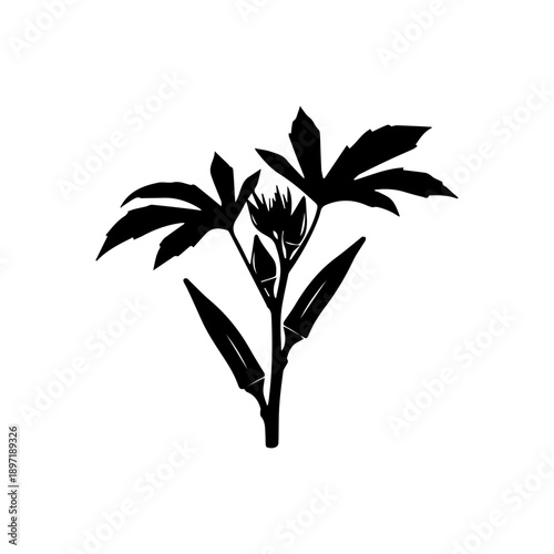 Okra plant silhouette