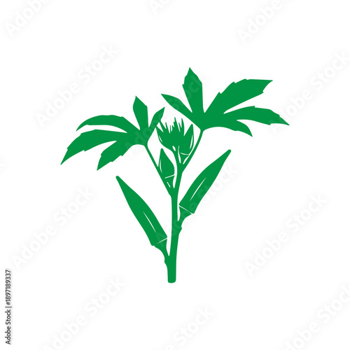 Okra Plant Silhouette