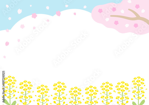 桜と菜の花の春の風景、コピースペースあり
