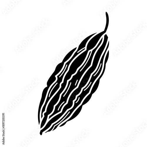 Bitter Gourd Illustration