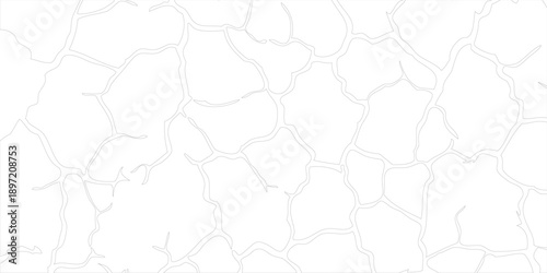 Abstract White Cracked Texture Background Pattern.