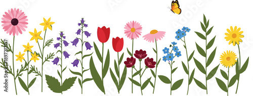 Colorful wildflower floral border with butterfly tulips daisies and bluebells in cad drawing flat vector illustration style isolated on white background