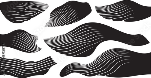 Black and white abstract shapes with wavy lines pattern