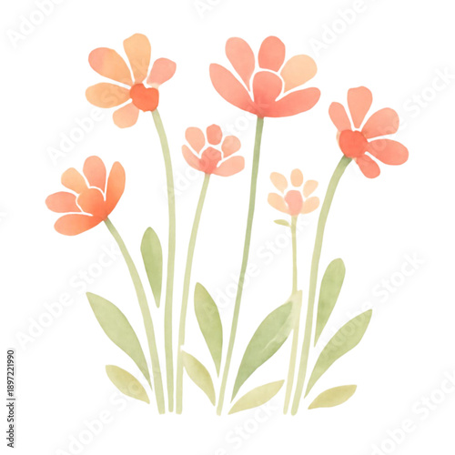 vector illustration of flowers