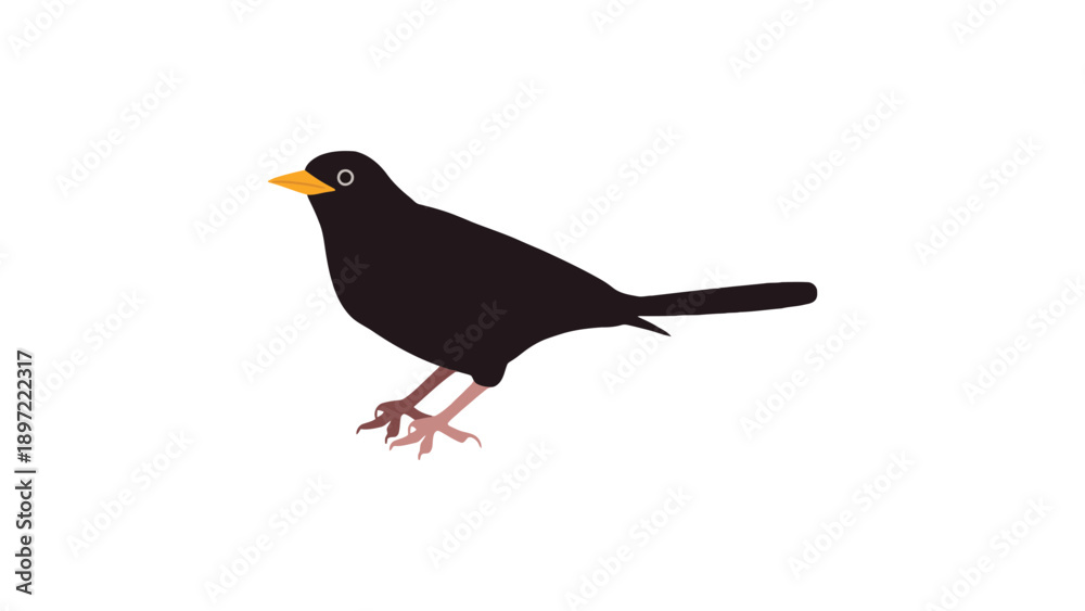 Obraz premium A black bird with yellow beak standing on white background