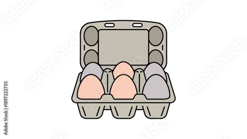 Eggs in an open carton box on white background