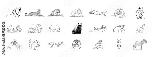 Wild Animals Collection: Line Art Illustrations of Mammals, Birds, and Reptiles