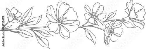 Simple Line Drawing of a Flowering Branch