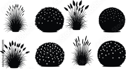 Collection of garden bush silhouettes, decorative shrubbery and ornamental grass for landscape design, nature environment icons, botanical greenery park elements.