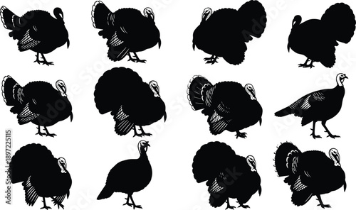 Collection of turkey silhouettes for Thanksgiving design, wild bird icons for autumn harvest festivals, farm animal elements for holiday decorations, nature.