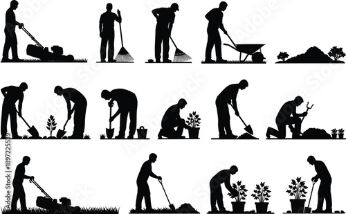 Professional gardener silhouettes performing landscaping tasks, lawn mowing, raking leaves, planting flowers, and digging soil for backyard garden maintenance service, nature.