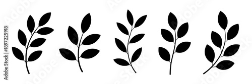 Leaf branch silhouette with multiple leaf clusters and smooth curves in solid black on plain white background for nature, botanical, design, eco-friendly themes, simple style