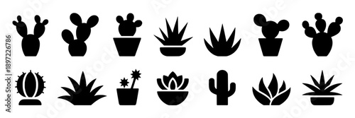 Cacti plant silhouettes with rounded shapes and spiky details, minimalistic black icons representing desert succulents, suitable for botanical, decoration, or nature-themed graphics