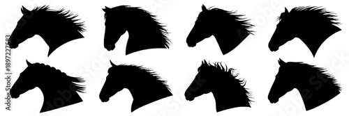 Horses head silhouette set with multiple profiles featuring flowing manes in black, minimalist style, vector icons for equestrian themes, sports, wildlife, branding, and design projects