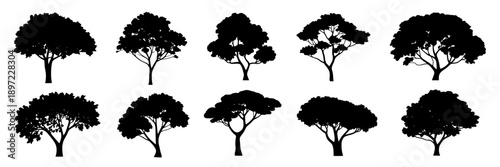 Tree silhouette collection with varied heights and canopy shapes, black color, vector style, high contrast, simple design, suitable for graphic design, logos, nature themes, and illustrations