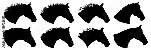 Horses head silhouette collection with varied manes and expressive profiles in black on white background, minimalist and graphic style for logos, icons, and design projects