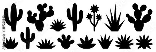 Cactus variety silhouette with desert plants and succulents in black, varied shapes, and spiky textures, representing arid landscape flora in a stylized, minimalistic vector design