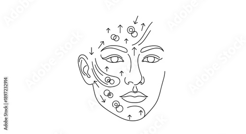 Female face with arrows showing lymphatic drainage massage lines. Cosmetic procedure outlining for face lifting and rejuvenation. Transparent background