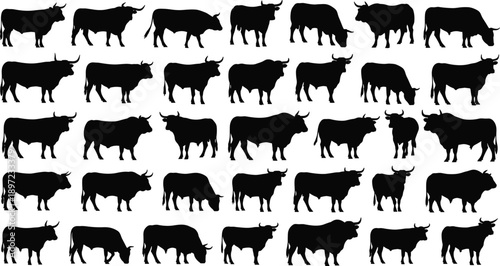 Black cow silhouettes collection farm cattle livestock animals standing grazing isolated white background agriculture illustration set
