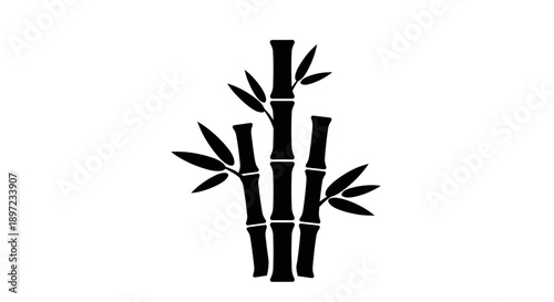 bamboo vector illustration