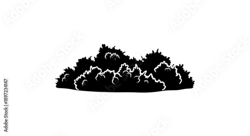 bush vector illustration