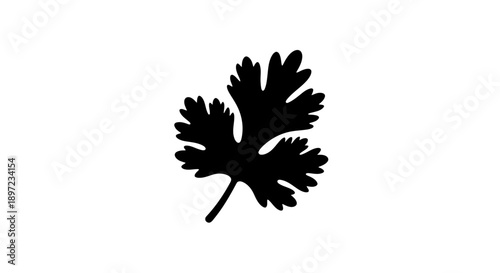 silhouette of a flower