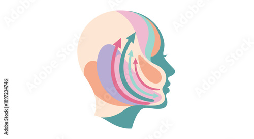 Woman face profile with arrows illustrating skin rejuvenation. Cosmetology treatment and lifting concept for beauty procedure. Anti aging therapy. Transparent background