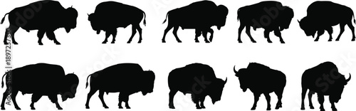Collection of ten black silhouette of American bison in various poses and stances on a white background