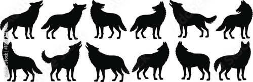 A collection of twelve black silhouette of wolves howling and standing in two rows on a white background