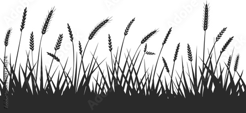 Black silhouette of a field of wheat and grass with varied heights and textures against a bright white background