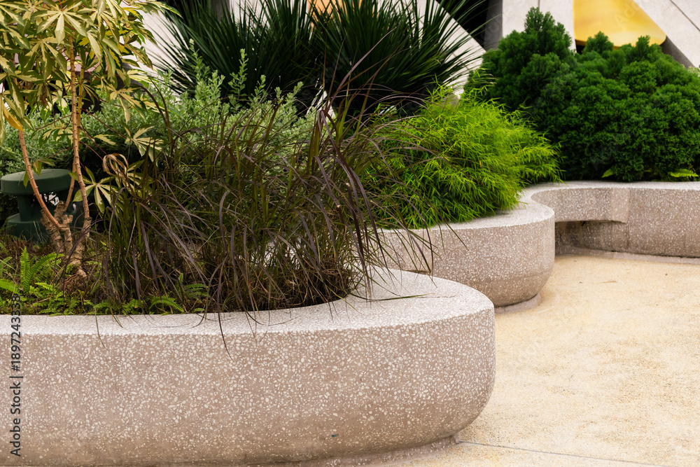 Plants grow in modern planters with curved designs. The scene shows a blend of greenery in an urban space. Sunlight shines on the plants, highlighting their shapes