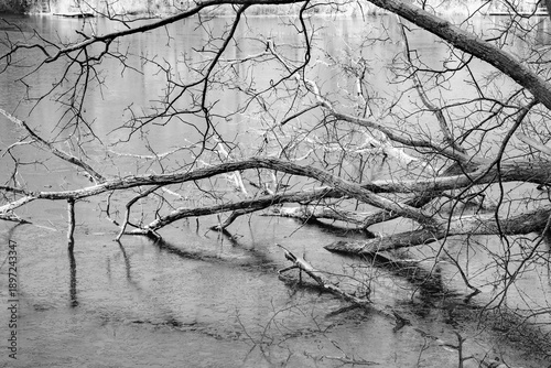 Deer Winter hat alles im Griff