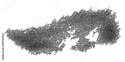 Abstract textured pattern of dense foliage and leaves.