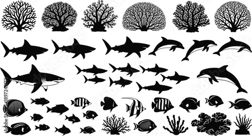 Ocean marine life silhouettes collection featuring sharks dolphins tropical reef fish and coral underwater sea nature elements for aquatic design projects